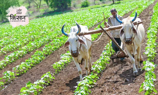 367538-hero-image-new