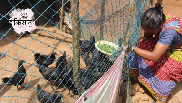 366024-gaon-moment-3