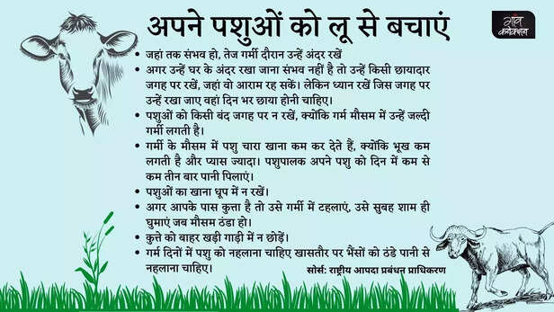 366064-heatwave-alert-animal-health-cattle-poultry-dog-shelter-green-fodder-1