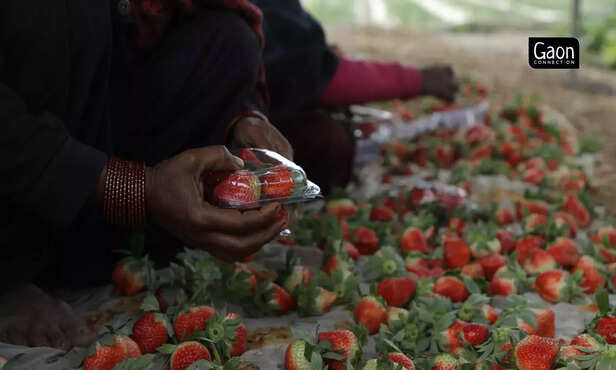 363641-untitled-design-73