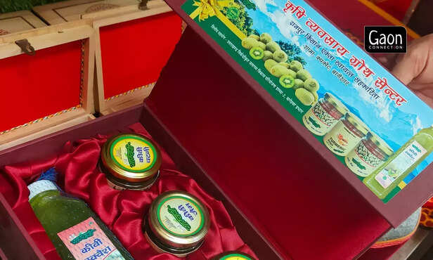 363359-untitled-design-28