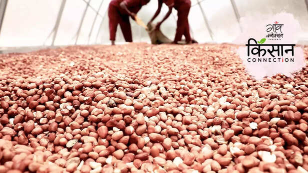 363188-farmers-producer-company-vkjpcl-salem-tamilnadu-women-farmers-food-processing-4