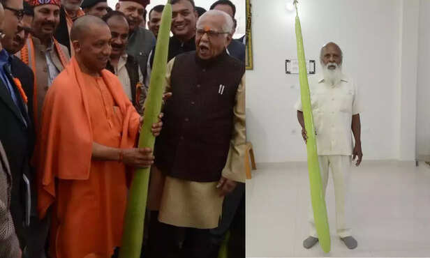 368606-narendra-shivani-bottle-gourd-narendra-dev-agriculture-university-shivpujan-singh-1