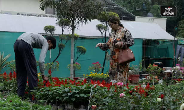 369621-nursery-business-success-story-saurabh-nursery-lucknow-profitable-business-engineer-turned-farmer-1