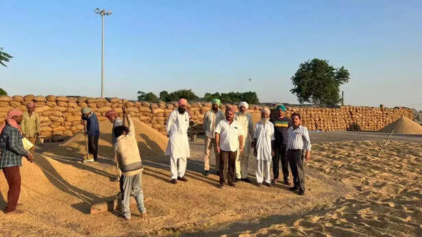 368549-punjab-paddy-procurement