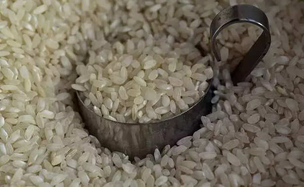 368551-rice-production