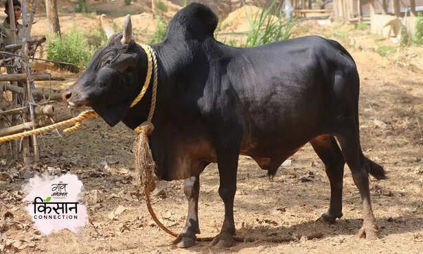 366369-hero-image-27