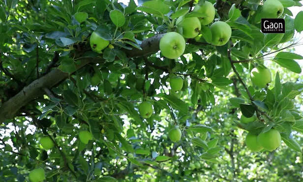 363738-untitled-design-93