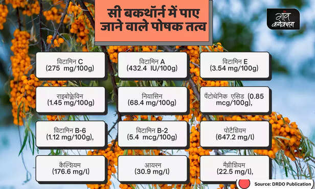 370384-sea-buckthorn-health-benefits-ladakhi-farmers-startup-drdo-himalayan-wild-berry-1