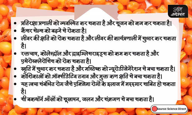 370385-sea-buckthorn-health-benefits-ladakhi-farmers-startup-drdo-himalayan-wild-berry-5