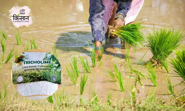 370116-hero-image-51