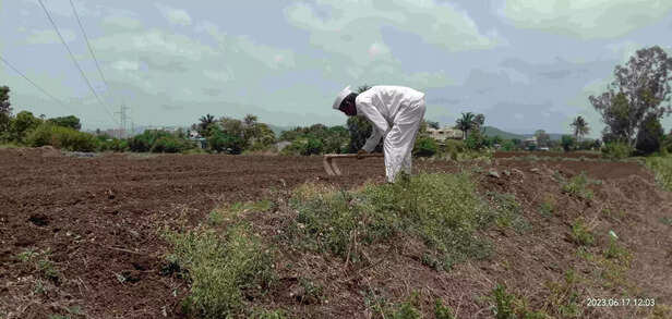 366059-img20230617120353-scaled