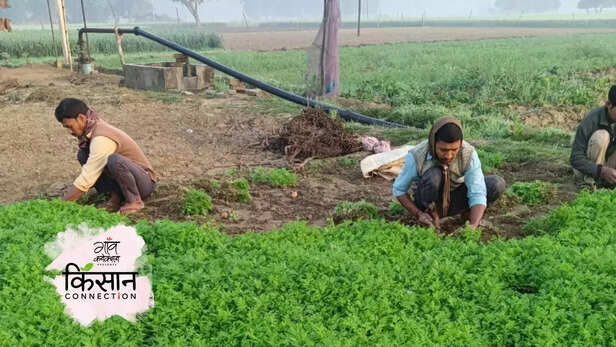 364576-gaon-moment-2023-04-07t165722822