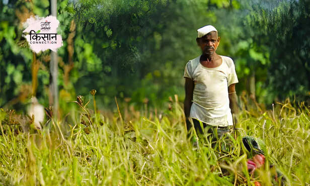 370503-minimum-retail-price-msp-farmers-protest-delhi-bandh-kisan-andolan-punjab-haryana-3