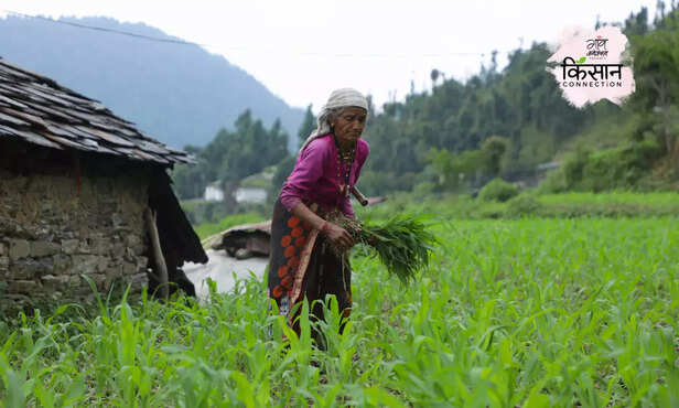 370504-minimum-support-price-explain-msp-farmers-protest-agricultural-produce-ms-swaminathan-committee-1