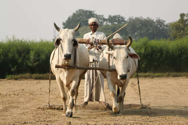 370506-main-banner-6