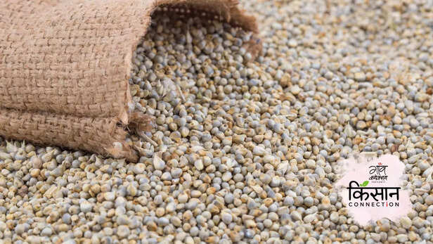 363827-arogya-millets-revive-millets-cultivation-vizianagaram-andhra-pradesh-millet-benefits-3