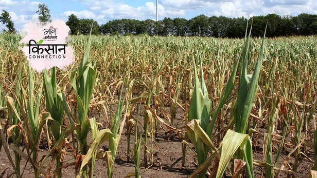 364780-gaon-moment-3