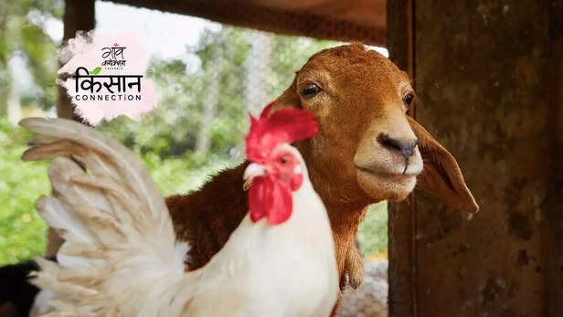 364781-global-warming-heat-waves-farming-distress-agriculture-india-climate-change-farmers-production-2