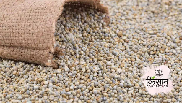 363841-kisaan-connection-millets