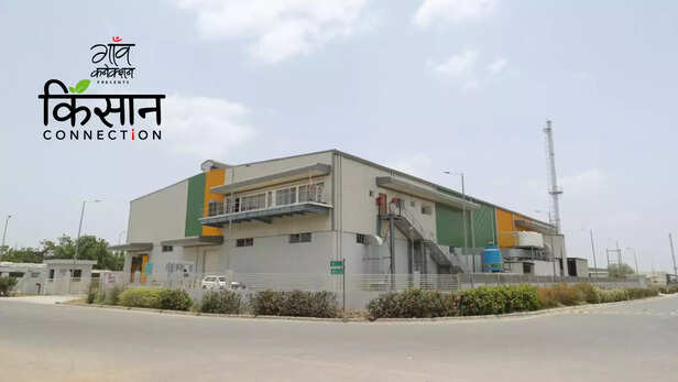 363126-tribal-farmer-food-processing-self-help-group-gujarat-agro-infrastructure-mega-food-park-mangrol-1