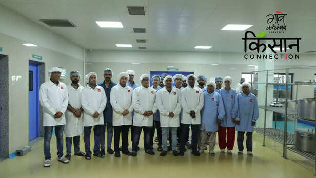 363127-tribal-farmer-food-processing-self-help-group-gujarat-agro-infrastructure-mega-food-park-mangrol-4