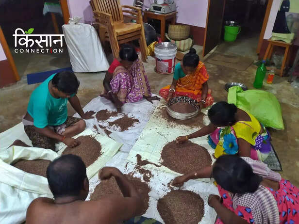 365361-red-rice-odisha-zz