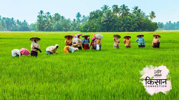 364784-agri-business-incubators-abi-icrisat-agri-innovation-hub-pjtsau-a-idea-technology-business-incubator-naarm-farmneed-1