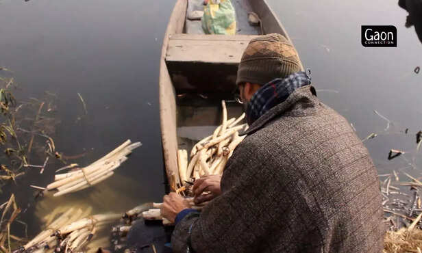 363667-untitled-design-78