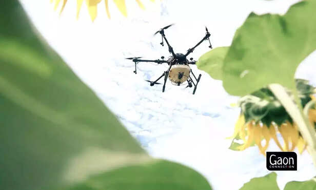 363439-teachers-diary-3