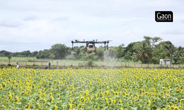 363440-teachers-diary-6