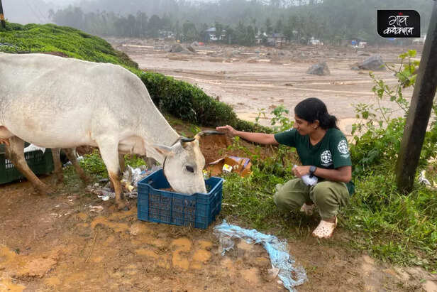 wayanad-landslide-humane-international-society-india-help-animal-welfare-4-1024x683