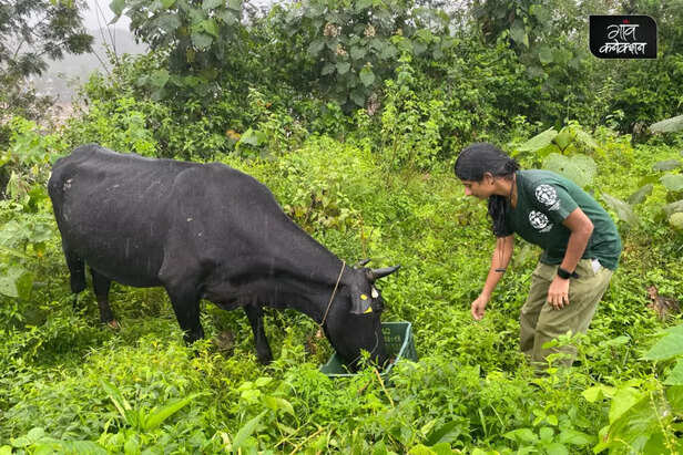 wayanad-landslide-humane-international-society-india-help-animal-welfare-3-1024x683