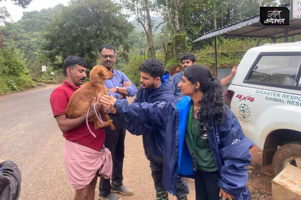 wayanad-landslide-humane-international-society-india-help-animal-welfare-2-1024x683