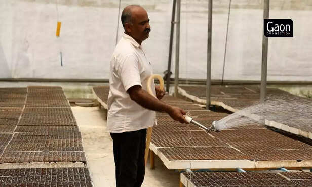 363340-untitled-design-22