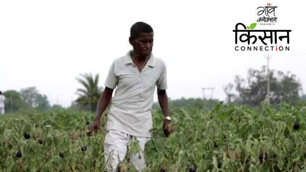 363309-integrated-farming-system-jharkhand-farmers-fishery-duckery-vegetables-fruit-cultivation-2