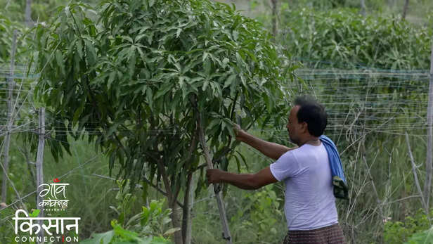 363311-integrated-farming-system-jharkhand-farmers-fishery-duckery-vegetables-fruit-cultivation-3