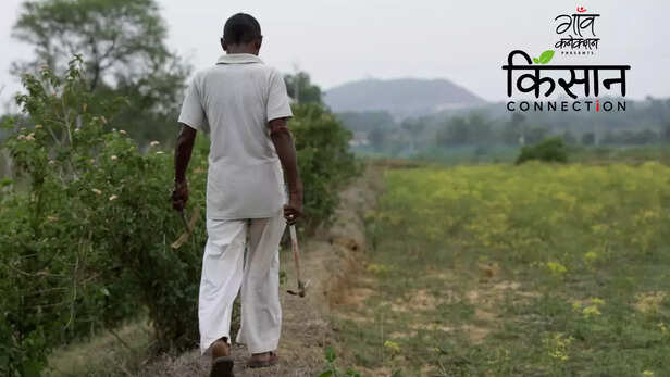 363313-integrated-farming-system-jharkhand-farmers-fishery-duckery-vegetables-fruit-cultivation-4