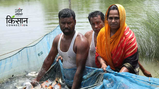 363418-fpo-barpeta-assam-fish-farmers-profits-farmers-producer-organisation-fish-market-1