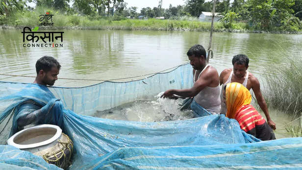 363422-fpo-barpeta-assam-fish-farmers-profits-farmers-producer-organisation-fish-market-5