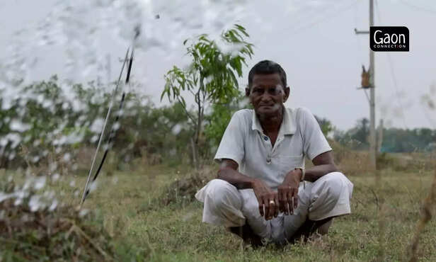 363319-untitled-design-11