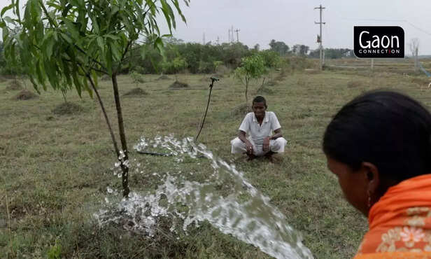 363317-untitled-design-15