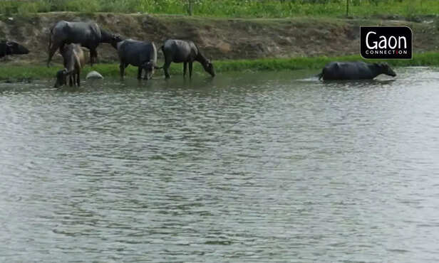 363318-untitled-design-14