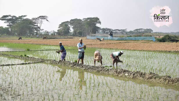 366036-bangladesh-coastal-farmers-saline-lands-fertile-fields-floating-farm-4