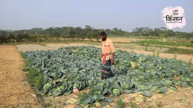 366042-bangladesh-coastal-farmers-saline-lands-fertile-fields-floating-farm-7