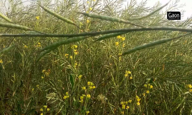 363819-untitled-design-2023-02-28t182714576