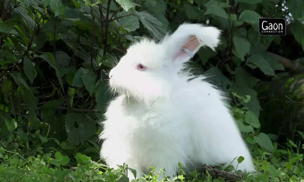 363161-untitled-design-54