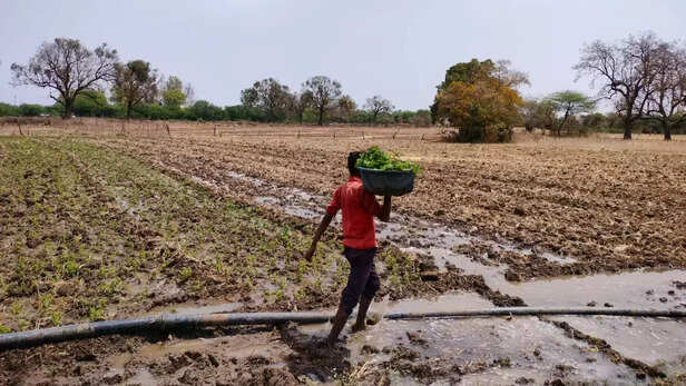 371079-heat-wave-alert-monsoon-forecast-weather-update-india-meteorological-department-uttar-pradesh-center-1