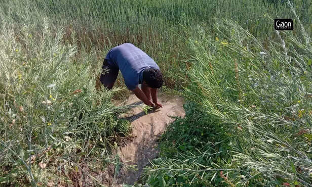 363945-untitled-design-2023-03-07t141336158