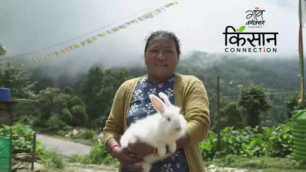 363154-angora-rabbit-farming-sikkim-farmers-krishi-vigyan-kendra-namthang-handloom-art-gurung-community-1